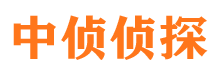 岳池调查公司